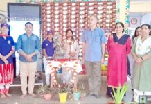 राजकीय महाविद्यालय में मनाया दिपावली उत्सव