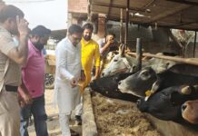 राज्य सूचना आयुक्त कर्मवीर सैनी ने किया मंडियों का निरीक्षण, बोले—सुचारू रूप से चल रही धान खरीद प्रक्रिया