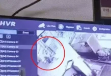 कैथल में महिला मित्र ने बेटे संग की हत्या: मिलने के बहाने बुलाया, सुआं घोंपने के बाद अर्धनग्न हालत में छत से फेंका