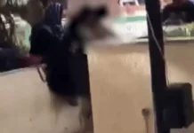 फरीदाबाद में लव-जिहाद को लेकर शिक्षा विभाग सख्त