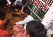 पलवल स्कूल में 8वीं के छात्र को करंट लगा — हेडमास्टर ने तार जोड़ते समय सीढ़ी पर चढ़ाया