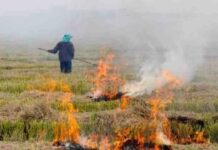 हरियाणा में पराली जलाने के मामले घटे, अब तक सिर्फ 58 घटनाएँ दर्ज — 13 अक्टूबर के बाद बढ़ी रफ्तार