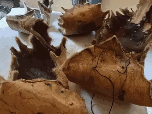 photo-slideshow31738655265_1761815794