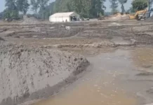 पंजाब में बाढ़ के बाद मिट्टी की सेहत पर संकट — PAU की रिपोर्ट में बड़ा खुलासा, घट गई उपजाऊ शक्ति