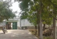 झज्जर में बेटे ने की पिता और भाई की हत्या — ढाई महीने बाद खुलासा