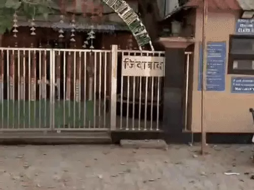 whatsappvideo2025-10-25at230336-ezgifcom-resize_1761414089