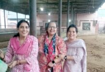 भारत विकास परिषद सर्पदमन शाखा ने गौशाला में मनाई गोपाष्टमी गौमाता की सेवा