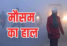 हरियाणा के 15 जिलों में स्मॉग का कहर, ऑरेंज–येलो अलर्ट जारी, दृश्यता 100 मीटर से भी कम