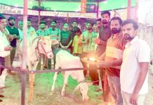 गौ पुजन करके मनाई गोपाष्टमी गौ पुजन करके मनाई गोपाष्टमी
