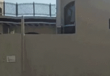 वोटर लिस्ट में बड़ा फर्जीवाड़ा: 300 गज के मकान में 501 वोट दर्ज Palwal Voter Fraud