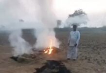 रोहद में कृषि पर्यवेक्षक पर हमला: पराली जलाने से रोकने पर किसानों ने पीटा Bahadurgarh Rohad incident