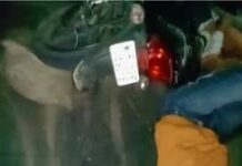 नारनौल हादसे में दो सगे भाइयों की दर्दनाक मौत — समारोह में शामिल होने जा रहे थे राजस्थान से Narnaul accident