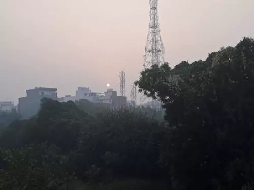 शिमला जैसी ठंड शिमला जैसी ठंड