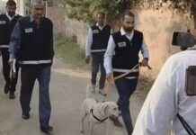 दिल्ली ब्लास्ट केस में नई कड़ी: नूंह में उमर के ठिकाने पर बम-स्क्वॉड की गहन जांच Delhi blast suspect Umar