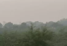 बढ़ी ठंड, तापमान 4 डिग्री गिरा — सुबह छाई धुंध, भिवानी की हवा सबसे जहरीली तापमान 4 डिग्री गिरा