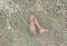 मासूम की निर्मम हत्या का खुलासा Gurugram murder