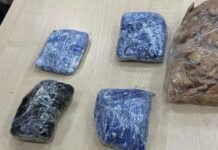 DRI ने पार्सल में छिपाई अफीम पकड़ी DRI Ludhiana