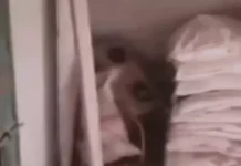 आटा चक्की में अमोनियम नाइट्रेट रिफाइन कर रहा था टैक्सी ड्राइवर Ammonium nitrate refining