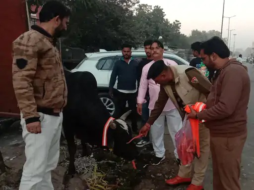 Reflector Belt Campaign