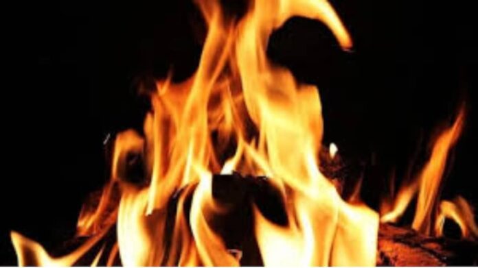 Grocery Store Accident