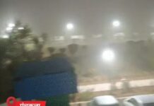 घने कोहरे ने बढ़ाई मुसीबतें, रेल और बस सेवाएं बुरी तरह प्रभावित Haryana Weather