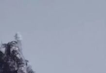 हरियाणा के पर्वतारोही की बड़ी उपलब्धि, अमेरिका की सर्वोच्च चोटी पर लहराया परचम Mountaineer