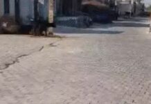 सिरसा धमाका: पुराने गिरोहों से जुड़ा ड्रामा — गांव का नया बदला-रूप सामने Sirsa blast