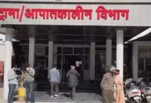 सिरसा में विवाद से भड़के युवक, तेजधार हथियार से दो भाइयों पर किया हमला Knife Attack