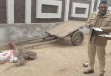 चाचा-भतीजे की गोली मारकर हत्या: कैथल में बाइक से घर लौटते वक्त बदमाशों ने घेरा Double Murder