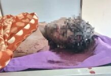 केएमपी रोड पर दर्दनाक हादसा, अज्ञात युवक की मौत से हड़कंप Kaithal road accident