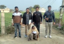 सीआईए स्टाफ सफीदों की टीम ने 410 ग्राम चरस सहित एक नशा तस्कर किया काबू Safidon-CIA staff