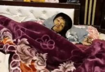 आवारा कुत्तों का हमला, बच्चे को गंभीर चोटें stray dogs attack