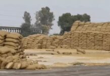 सरकारी अनाज घोटाले पर शिकंजा, मिलर के खिलाफ आपराधिक मामला दर्ज FIR Registered