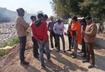 नहर से 5 गायों के शव बरामद, फिसलकर गिरने की संभावना Ballabgarh Canal