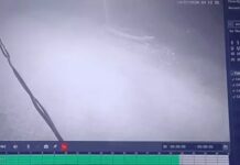 धान चोरी की बड़ी वारदात, दो मिलों से 125 कट्टे गायब Rice Theft