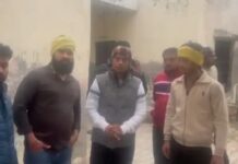 रिहायशी बस्ती में गोवंश के अवशेष मिलने से हड़कंप Faridabad cow remains