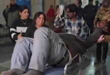 ज्वेलरी कारोबारियों से बड़ी लूट, नकदी और सोना लेकर फरार बदमाश Karnal robbery