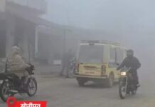 घने कोहरे से जनजीवन प्रभावित, मौसम में बदलाव के संकेत Haryana weather