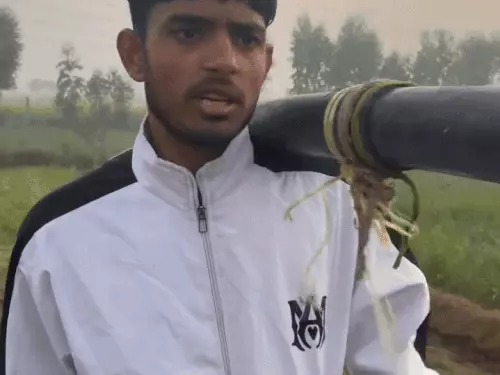 Haryanvi video creator