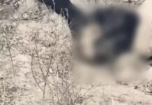 कारोबारी की रहस्यमयी मौत से सनसनी Haryana murder case