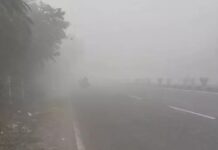 लोहड़ी पर ठिठुरन और कोहरे की मार, उत्तर हरियाणा में मौसम ने बढ़ाई मुश्किलें Haryana weather