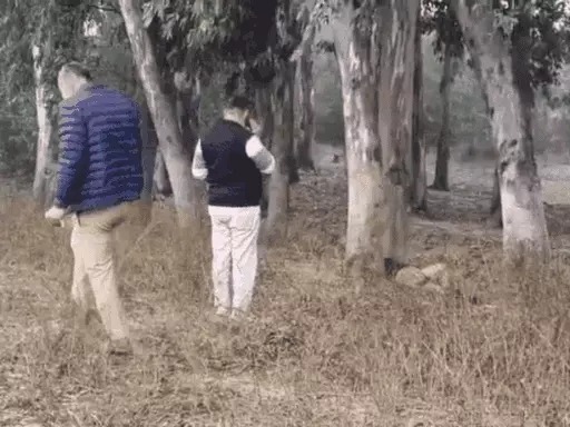 Chandigarh Financier Murder