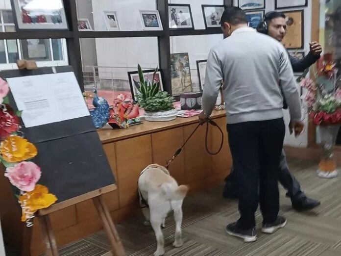 Gurugram Schools Threat