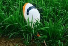 सीमा पार से आया संदिग्ध गुब्बारा, सिरसा के खेतों में मचा हड़कंप Sirsa fields