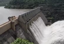 यमुना के पानी पर नया फैसला, हरियाणा की हिस्सेदारी पर असर Yamuna Water Issue