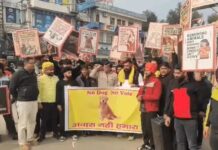 पालतू पशु समर्थकों का प्रदर्शन, सड़कों पर जताई नाराजगी Dog lovers protest