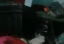 पूर्व सैनिक के मकान को बनाया निशाना, बड़ी चोरी से मचा हड़कंप Narnaul theft case