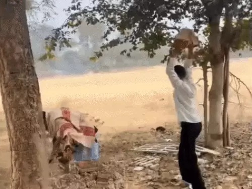 Mahendragarh-government college