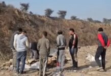 29 कुत्तों के शव मिलने से रोष:नसबंदी के ताजा घाव मिले; लोग बोले- पोस्टमॉर्टम हो, हत्या का शक जताया stray dogs dead