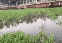 खेतों में सीवरेज ट्रीटमेंट प्लांट का पानी घुसा, फसलों को खतरा Sewage Treatment Plant